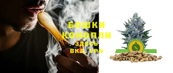 спиды Осташков